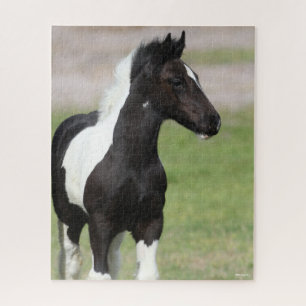 Puzzle Poignée noire et blanche pour vannière tzigane