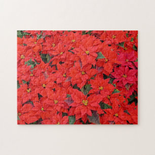 Puzzle Poinsettias Rouges I Photo Floral Fêtes de Noël