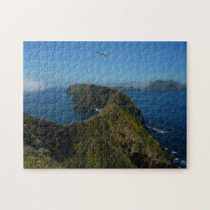 Puzzle Point d'inspiration I d'Anacapa aux îles Anglo-Nor