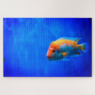 Puzzle Poisson