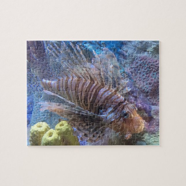 Puzzle Poisson (Horizontal)