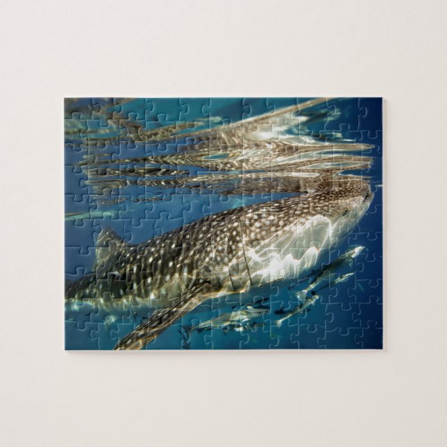 Puzzle Poisson de baleine et de remora (Horizontal)