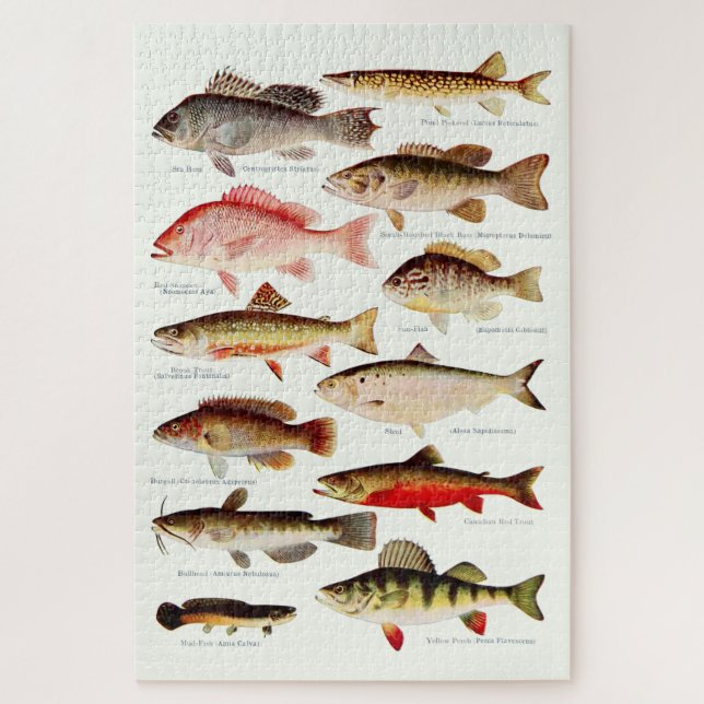 Puzzle Poisson nord-américain vintage (Vertical)