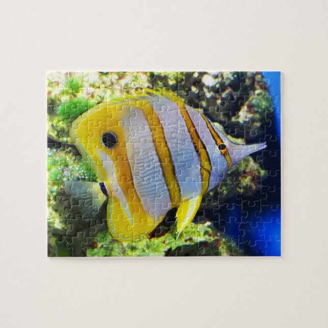 Puzzle Poisson papillon (Horizontal)