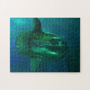 Puzzle Poisson Soleil.