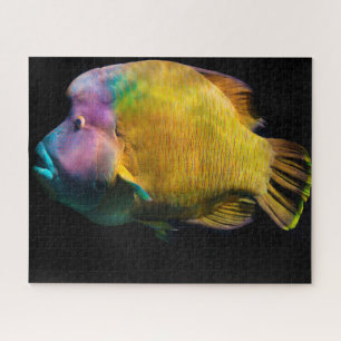 Puzzle Poisson tropical