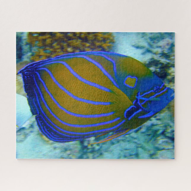 Puzzle Poisson tropical (Horizontal)