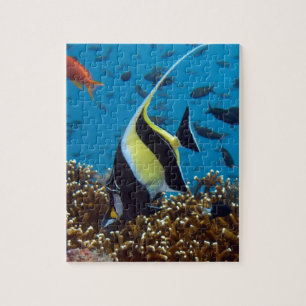 Puzzle Poisson tropical