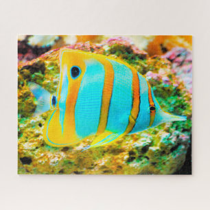 Puzzle Poisson tropical