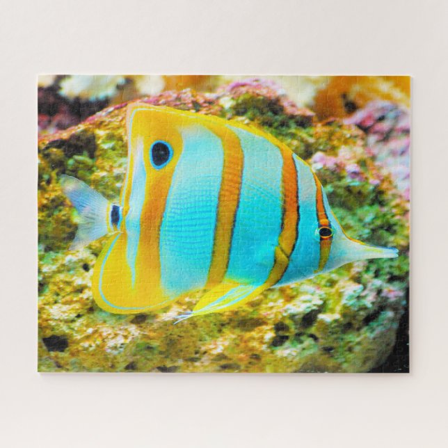 Puzzle Poisson tropical (Horizontal)