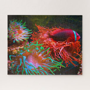 Puzzle Poisson tropical