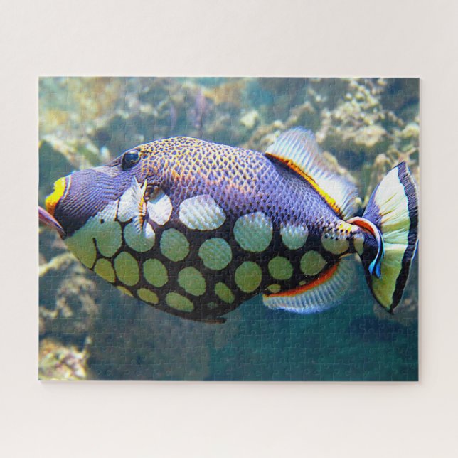 Puzzle Poisson tropical (Horizontal)