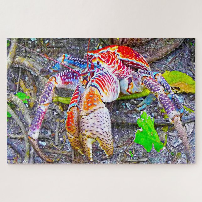 Puzzle Poisson tropical (Horizontal)