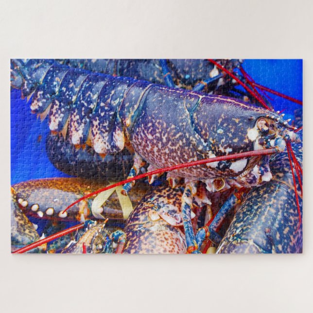 Puzzle Poisson tropical (Horizontal)