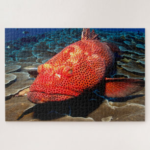 Puzzle Poisson tropical