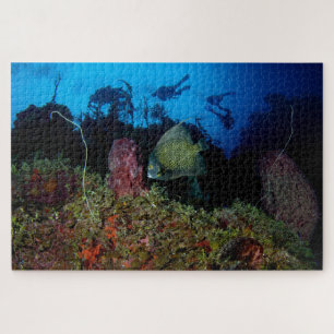 Puzzle Poissons-anges et plongeurs de moins de 20 po x 30