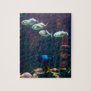 Puzzle Poissons dans l'aquarium