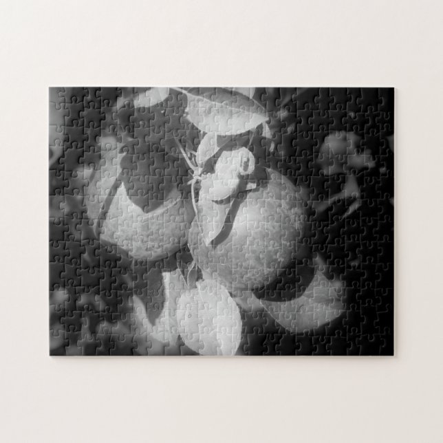Puzzle Pommes De Nature Noire Et Blanche (Horizontal)