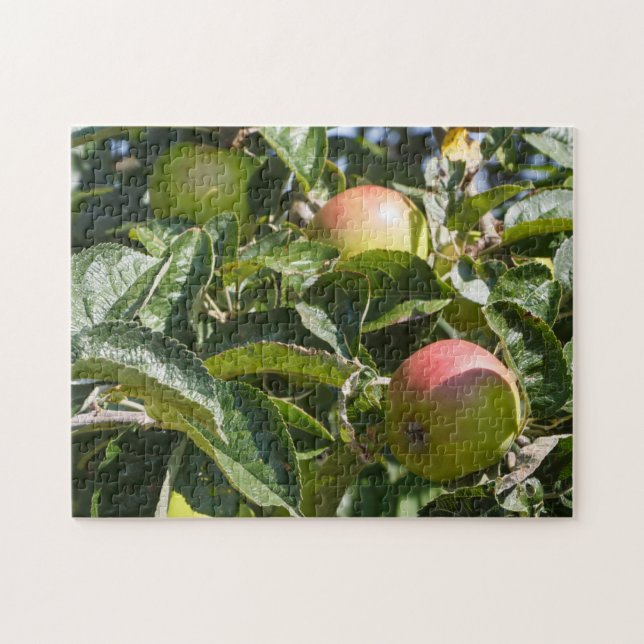 Puzzle Pommes mûrissant sur un pommier (Horizontal)