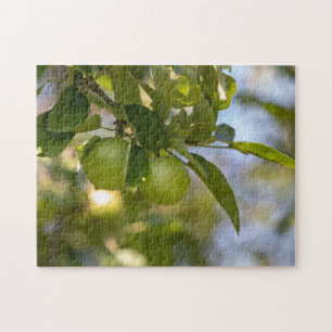 Puzzle Pommes sur la branche