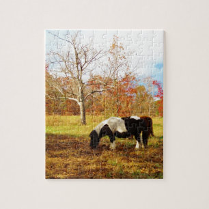 Puzzle Poney miniature noir et blanc / Cheval