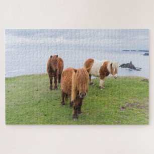 Puzzle Poney Shetland sur un pâturage près de hautes fala
