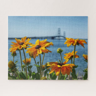 Puzzle Pont Mackinac aux yeux noirs