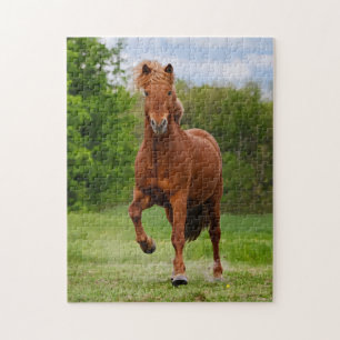 Puzzle Pony islandais fait tourner Tölt Funny Photo Hors