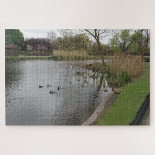 Puzzle Pool & Birds