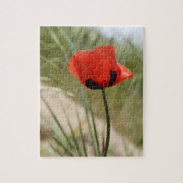 Puzzle Poppy (Vertical)