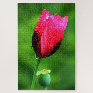 Puzzle Poppy et Raindrops