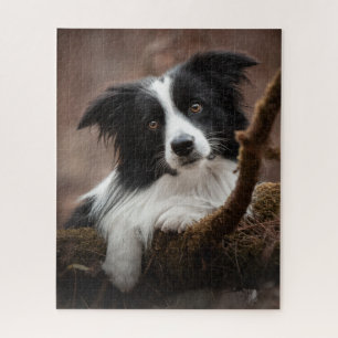 Puzzle Portrait Collie Bordure Étonnant