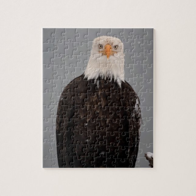 Puzzle Portrait d'aigle à tête blanche dans la neige, Hal (Vertical)