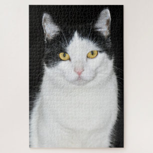 Puzzle Portrait de chat noir et blanc