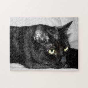 Puzzle Portrait de chat noir mignon