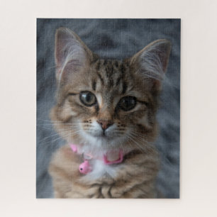 Puzzle Portrait de chaton cute kitten, 520 pièces