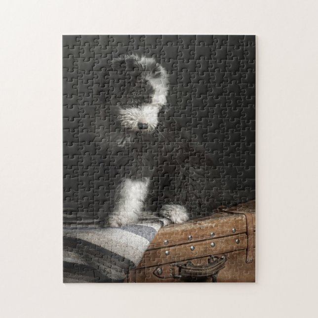 Puzzle Portrait de chiot de queue écourtée dans le studio (Vertical)