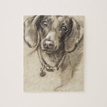 Portrait de Dachshund