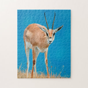 Puzzle Portrait de femelle de gazelle de Grant (Gazella G