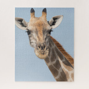Puzzle Portrait de girafe angolais