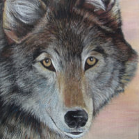 portrait de la faune peinture de loup gris