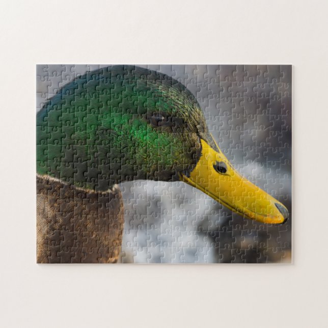 Puzzle Portrait de Male Mallard (Horizontal)