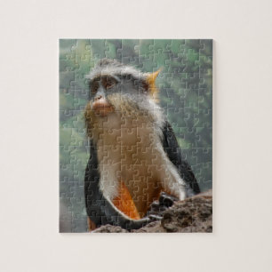 Puzzle Portrait de singe