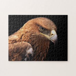 Puzzle Portrait d'Eagle d'isolement sur le noir