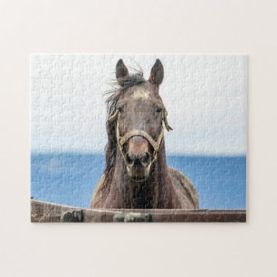 Puzzle Portrait d'un cheval