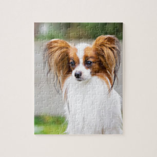 Puzzle Portrait d'un chien papillon