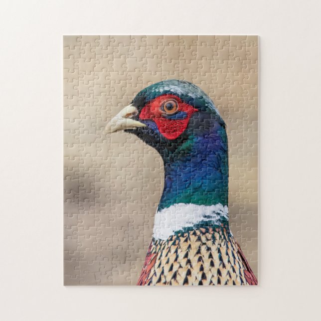 Puzzle Portrait d'un faisan (Vertical)