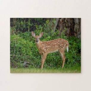 Puzzle Portrait d'un nouveau-né (cerf de Virginie)