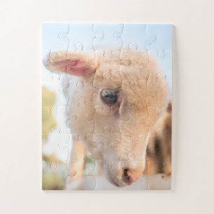 Puzzle Portrait d'un petit agneau