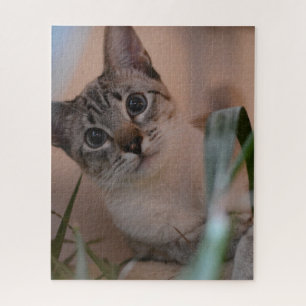 Puzzle Portrait photo de chat